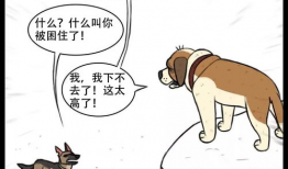 流浪狗漫画,街头生存与人性光辉